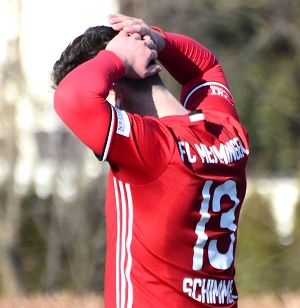 Berg FS H06 Schimmer 300