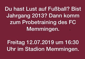 Schnuppertraining Jahrgang 2013 300