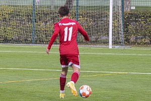 Gundelfingen H02 Molnar 300