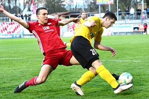 Bayreuth H02 Remiger 300