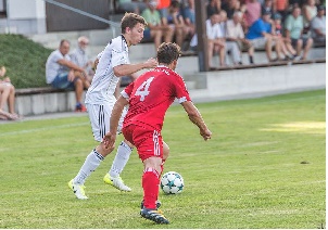 Egg A02 Maier Rebhan 300