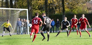 Egg H 01 Wohnlich 300