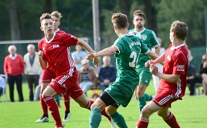 Noerdlingen H 01 Rochelt