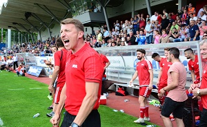 Schalding H 02 Baierl Kulisse 300