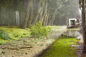 Unterfoehring Abbruch 01 Verwuestung 300