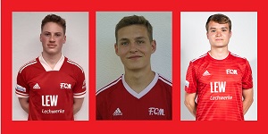 Collage Moser Singer Wohnlich 300