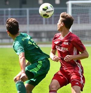 Heilbrunn H03 Holzapfel 300