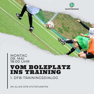 DFB Trainingsdialog 300