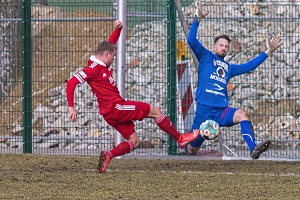 Dornbirn FS 01 Wohnlich 300