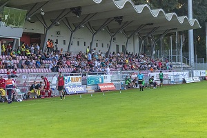 Zuschauer einzeln 300