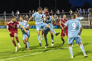 Rosenheim H06 Gräser 300