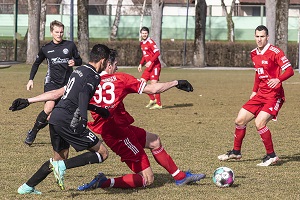 Schwabmuenchen FS 03 Stroh Engel 300