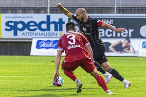 Schweinfurt H06 Gräser Jabiri 300