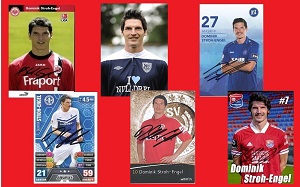 Stroh Engel Collage 300