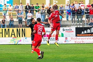 Ansbach H02 Stroh Engel Fidan 300