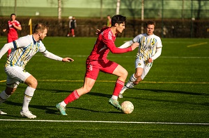 Ehiingen Test H01 Mueller 300