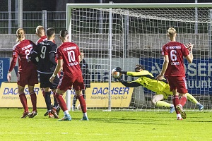 Ingolstadt H02 Werdich 300