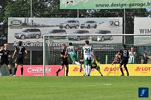 Schalding A01 Gegentor Weiß 300