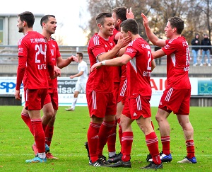 Schwaben Augsburg H02 Torjubel 300