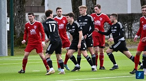 Wiesenbach Test H01 THOMAS BRAUN 300