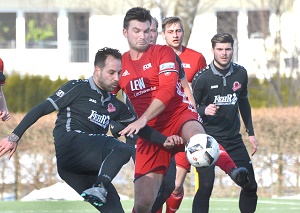 Berg FS H01 Weiler 300