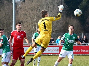 Gruber Schalding 300