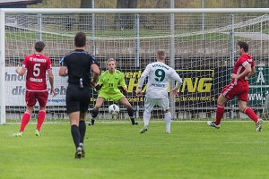 Schalding H02 Zeche 300