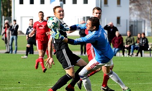 Egg H01 Nickel TW Stölzle 300