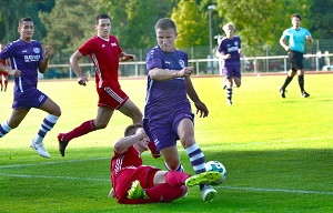 Neuburg H07 Nickel 300